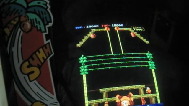 Nintendo Donkey Kong 3 Arcade Cabinet Gameplay Video! DK3 смотреть онлайн