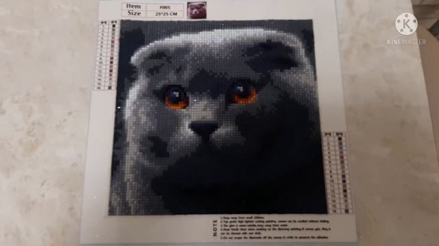 Провожаю в Турцию мужа и дочь...мы с котом остались дома. 😺👩🦰 смотреть онлайн