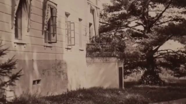 Ожерелье подольских усадеб. Усадьба Плещеево. Библиопутеводитель смотреть онлайн