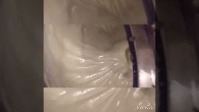 Как сделать мороженое быстро , пломбир . смотреть онлайн