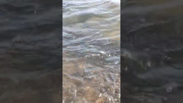 Геленджик. смотреть онлайн