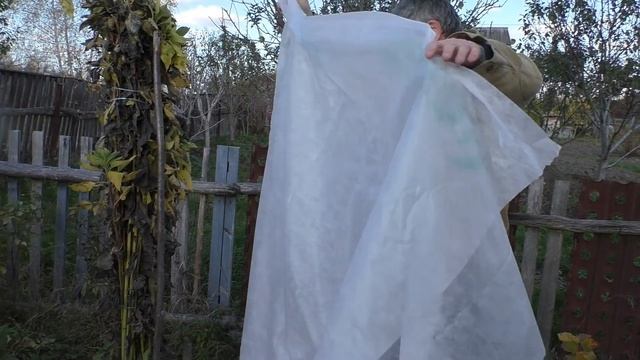 УКРЫТИЕ -УТЕПЛЕНИЕ ОДНОЛЕТНИХ саженцев Персика и Хурмы на ЗИМУ . смотреть онлайн