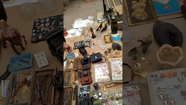 Птичий рынок Самара смотреть онлайн