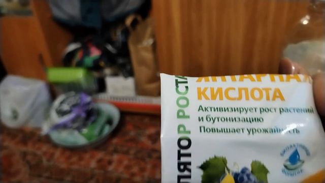 Прошла 3500 шагов.Пирог с яблоками и вишней.Замочила семена.