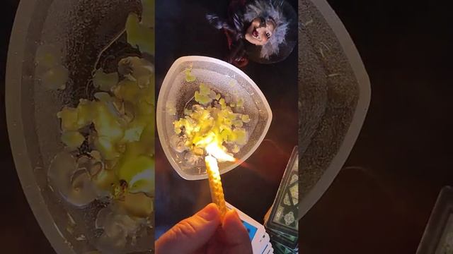 Вам говорит свеча. смотреть онлайн