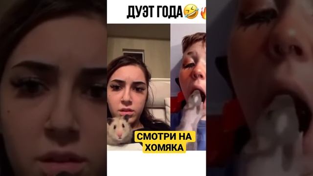 МЕНЯ БОЛЬШЕ УБИЛА МОРДОЧКА ХОМЯКА) ЗАЧЕМ?? #Shorts #TikTok #ХОМЯК смотреть онлайн