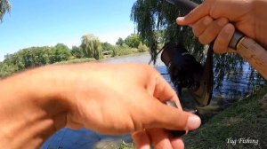 ЛОВЛЯ КАРПА, КАРАСЯ, НА ФЛЭТ-ФИДЕР Flat-Feeder