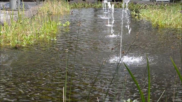 Am Brunnen vor dem Tore-Fotos Grugapark! смотреть онлайн