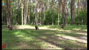 Действие подразделения в тройке при обнаружении противника.mp4