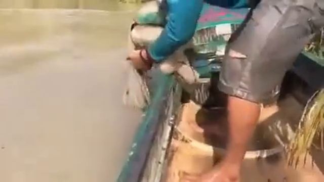 Такой улов можно сыграть Свадьбу смотреть онлайн