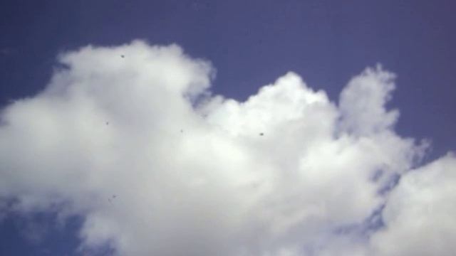 MOV02747 Атака коршуна смотреть онлайн