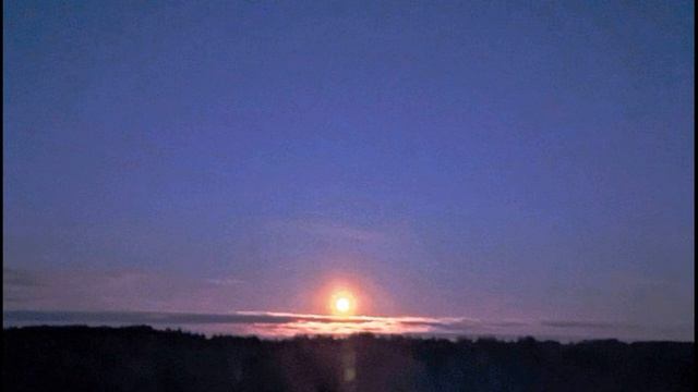 Г Иванов Гаснет мир, сияет вечер #философскаялирика #поэтысеребряноговека смотреть онлайн