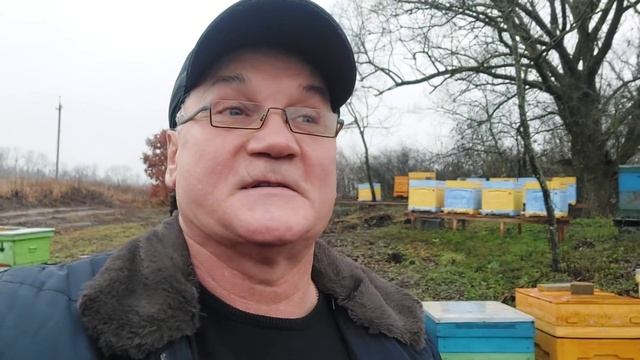 Пришло время заказывать пакеты с пчелами. Как не ошибиться? смотреть онлайн