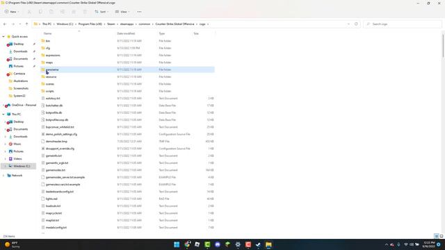 How to fix CSGO pak01_001.vpk Error Code (2022!!!) смотреть онлайн