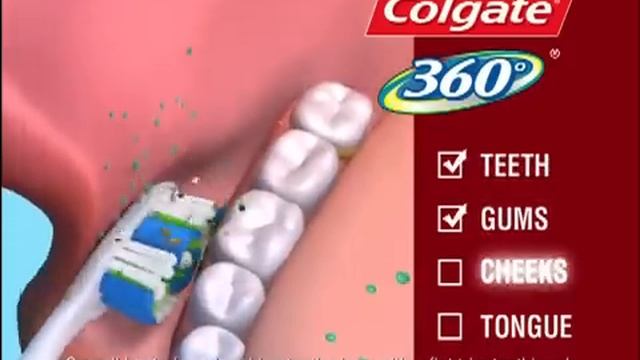 Colgate 360 Toothbrush