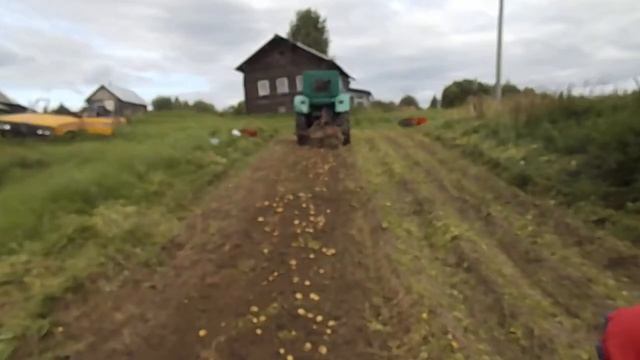 Уборка картофеля копалка швырялка т40 смотреть онлайн