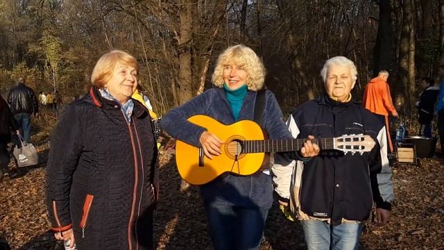 Виват. Ворона и бильярдные шары -В.Качан смотреть онлайн
