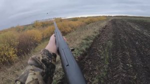 ОХОТА НА УТКУ ОХОТА С ПОДХОДА МР155