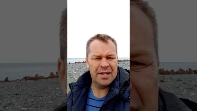 Лежбище моржей. смотреть онлайн