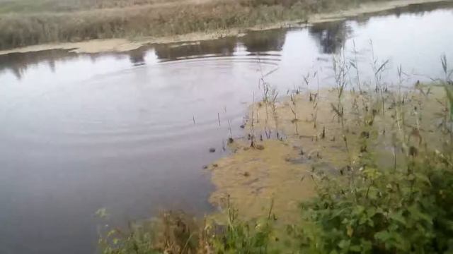 Магнитная рыбалка с Максимум смотреть онлайн