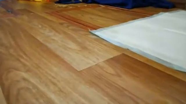 Французский бульдог Клепа шалости смотреть онлайн