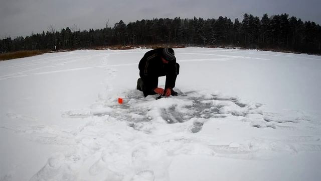 Щука рвёт леску и ломает тройники Рыбалка на озере на жерлицы смотреть онлайн