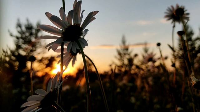Велопутешествие по Татарстану/Село Дербедень/Водопад, родник "Шум" /Ночёвка в лесу. смотреть онлайн