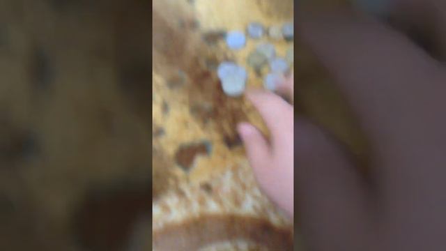 Маленькая коллекция монет смотреть онлайн