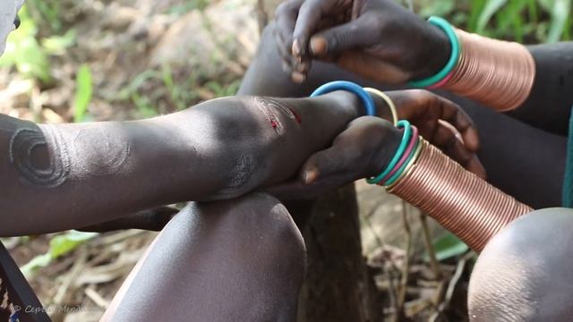 Ethiopia. Surma tribe in the Omo River Valley. Эфиопия. Племя Сурма. [Дикие племена Африки] смотреть онлайн