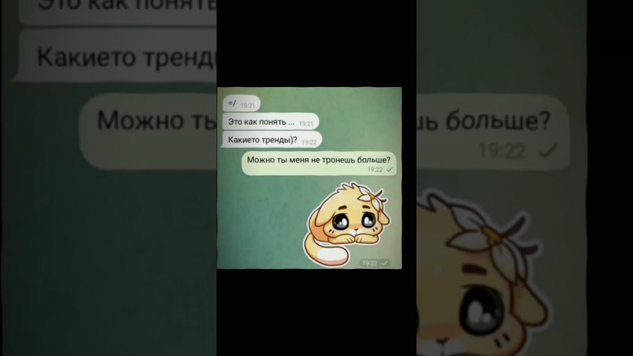 Лучший друг☺️ #шортс #юмор смотреть онлайн