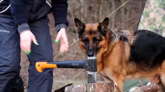 ЗА НАЛИМОМ на закидушки! Рыбалка с ночевкой. Быт В ЛЕСУ. #372 смотреть онлайн