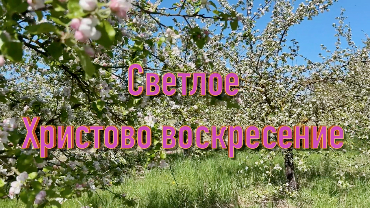 Светлое Христово воскресенье.