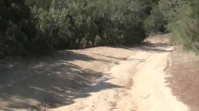 По дороге с инжира смотреть онлайн