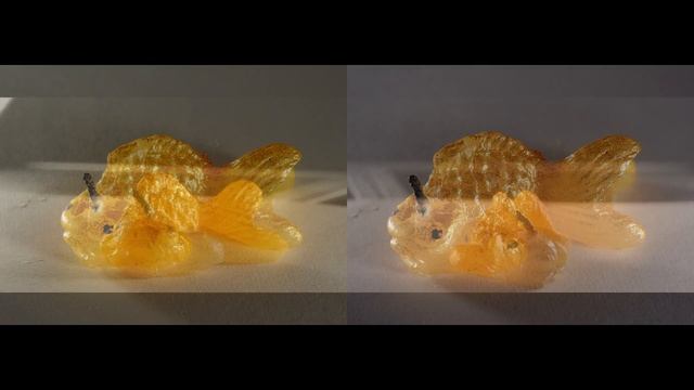 Nikon P900 vs P1000: Macro Mode 4k смотреть онлайн