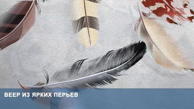 3D Фотообои «Веер из ярких перьев» смотреть онлайн