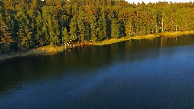 Святое озеро. Брянская область. DJI Mavic 2 Pro. смотреть онлайн