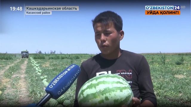 Деятельность народных приёмных в Кашкадарьинской области по трудоустройству молодёжи смотреть онлайн