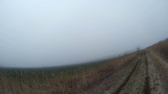 охота на зайца смотреть онлайн