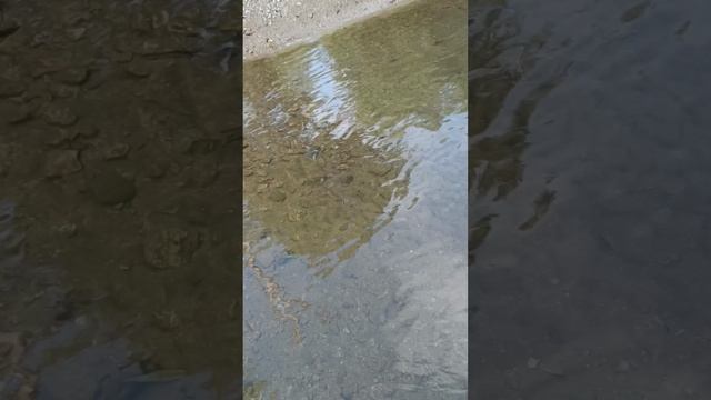 Отдых на базе.