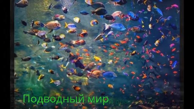 Интересная Планета смотреть онлайн