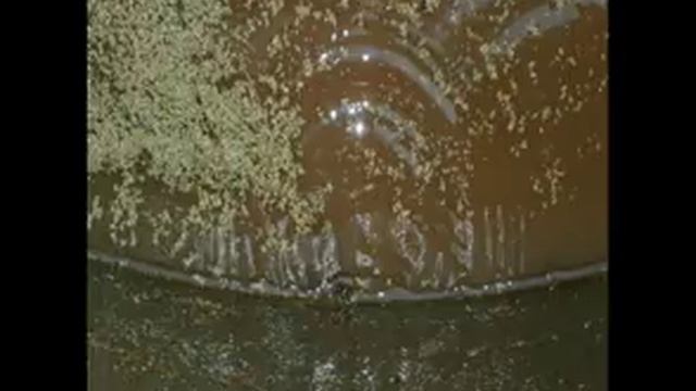 Чистка Колодцев