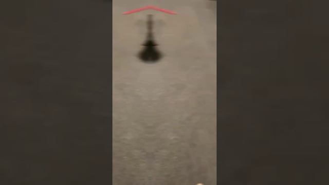 ИСТОРИЯ СПАСЕНИЯ СТРЕЛОЧКИ смотреть онлайн