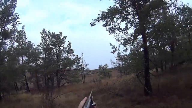 Охота в Крыму на вальдшнепа 2015 г. смотреть онлайн