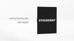Видеообзор модели переговорного устройства клиент-кассир STELBERRY S-400