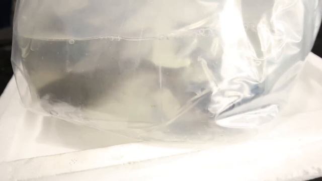 TOO MANY FISH *LIVE FISH UNBOXING* We're running out of tank space... смотреть онлайн