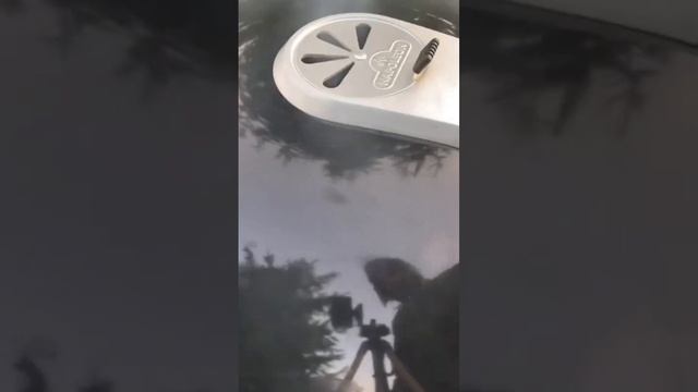 Вкуснейшая свиная грудинка ?? смотреть онлайн