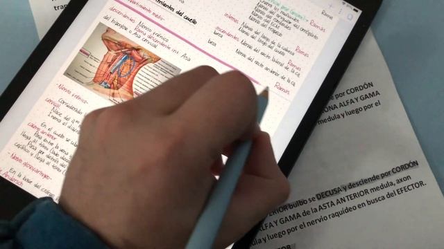 A verdade sobre o IPAD 7 geração! Por que ninguém te conta que o iPad Pro NÃO VALE A PENA?? смотреть онлайн