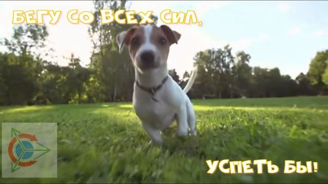 Бегу регистрироваться к дуюнову смотреть онлайн