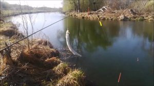 Рыбалка на реке Тавровка, съёмка 15.04.2022 года