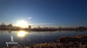 Весенняя охота на селезня с подсадной уткой. День 6-й, весна 2019г.